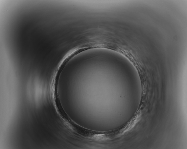 X0000087690054200705111329