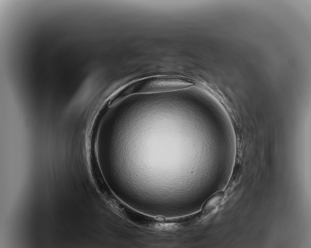 X0000087690055200705111329