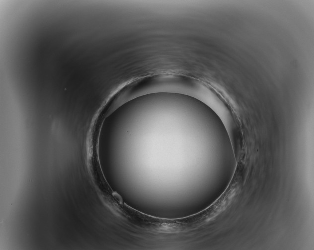 X0000087690060200705111329