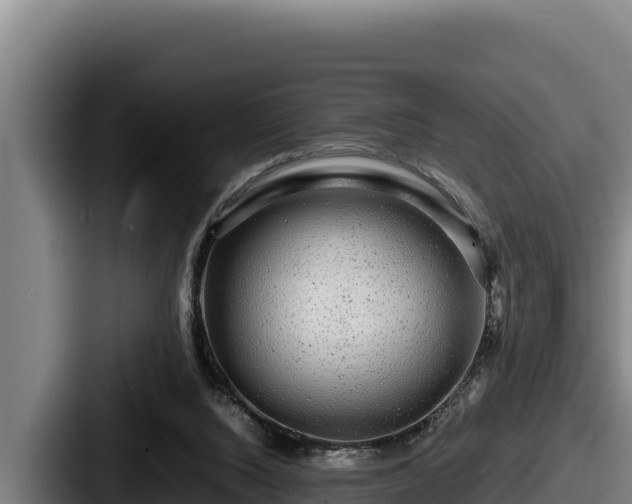 X0000087690064200705111329