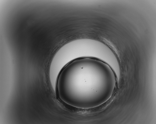 X0000087690065200705111329