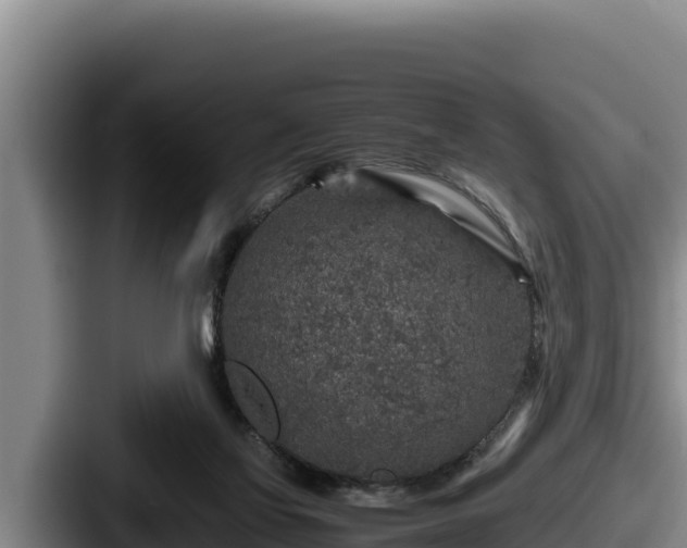 X0000087690069200705111329