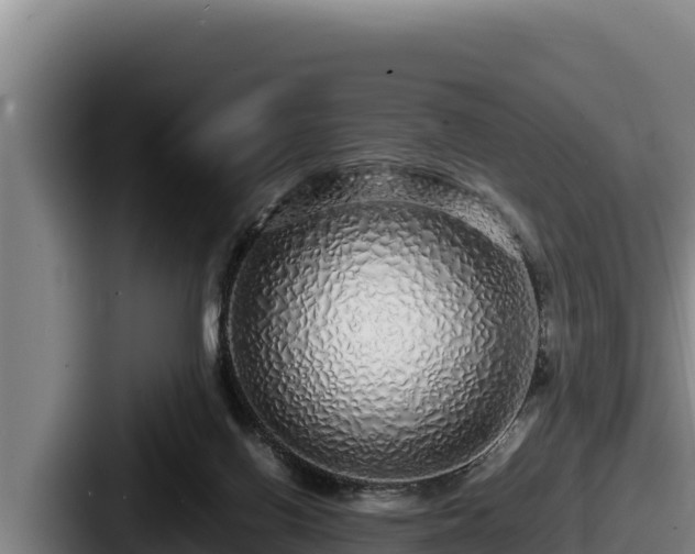 X0000087690070200705111329