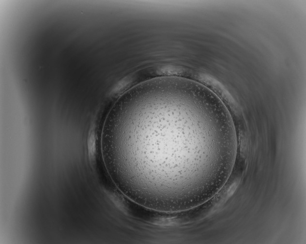 X0000087690071200705111329