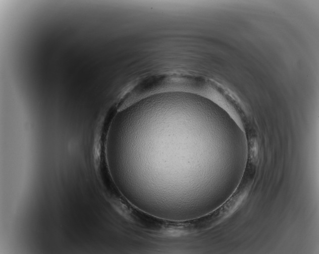 X0000087690072200705111329