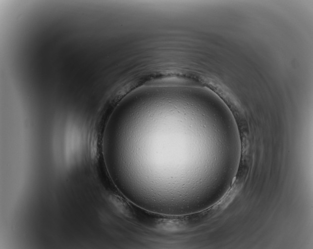 X0000087690074200705111329