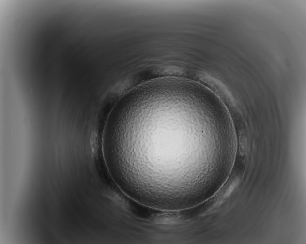 X0000087690077200705111329