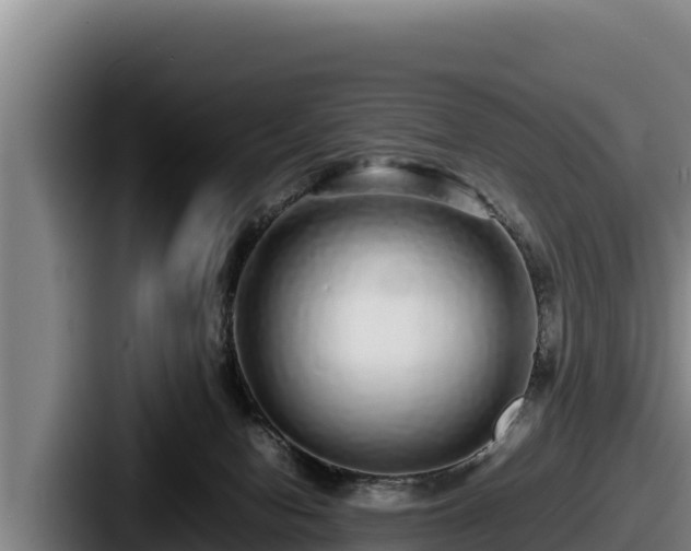 X0000087690078200705111329