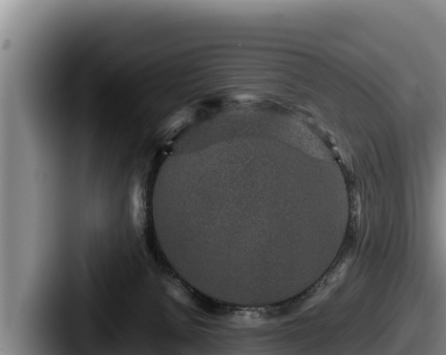 X0000087690080200705111329