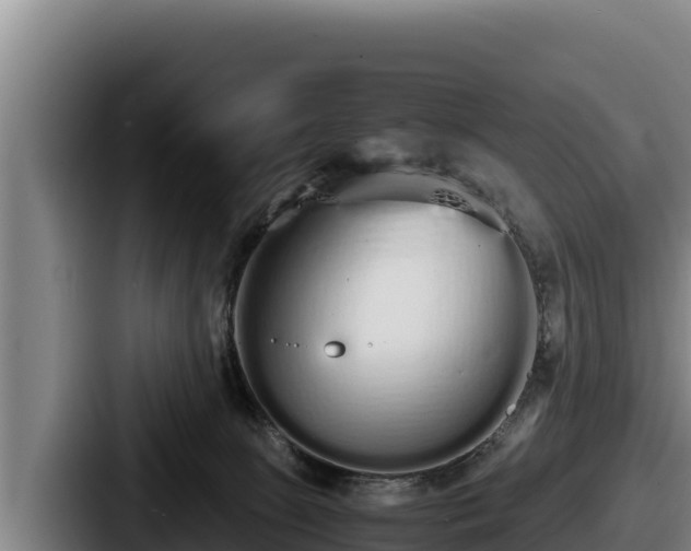 X0000087690081200705111329