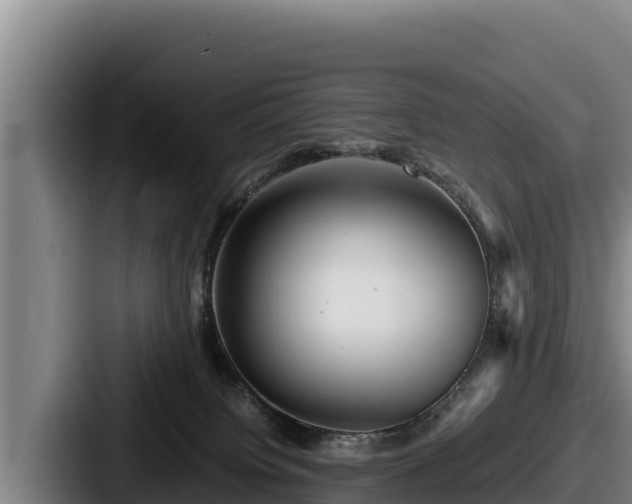 X0000087690084200705111329