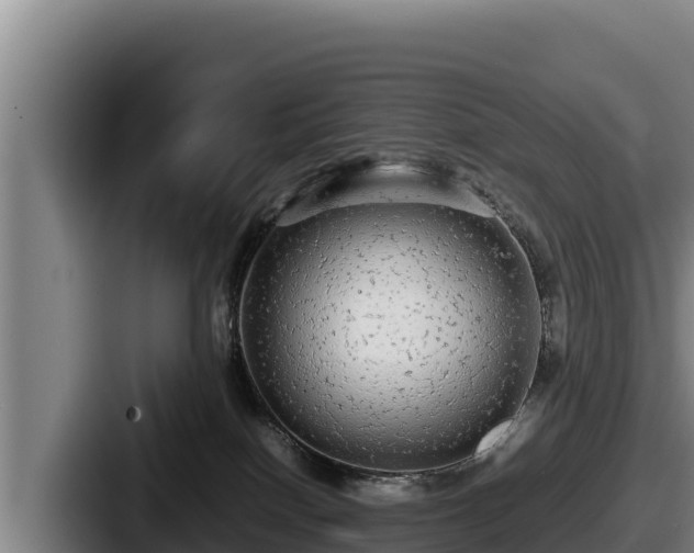 X0000087690086200705111329