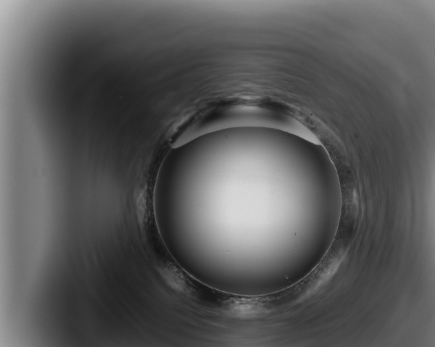 X0000087690088200705111329