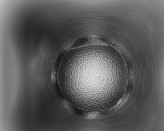 X0000087690090200705111329