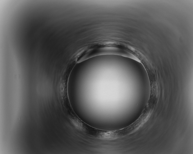 X0000087690092200705111329