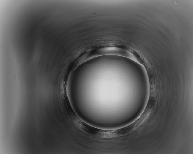 X0000087690093200705111329