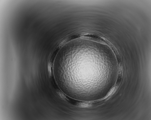 X0000087690094200705111329