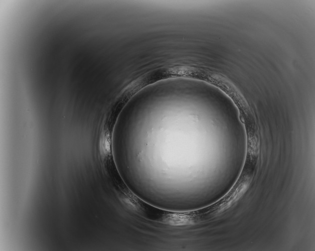 X0000087690095200705111329