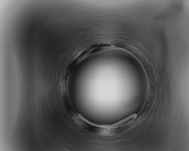 X0000087690096200705111329