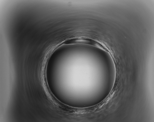 X0000087690097200705111329