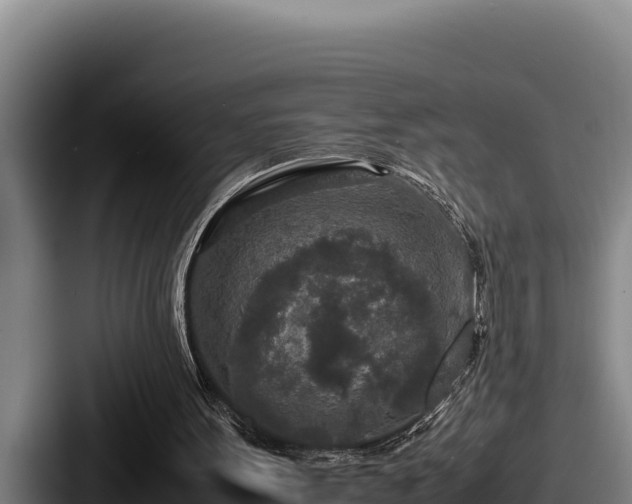 X0000087690099200705111328