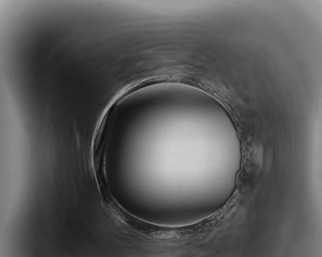 X0000087690100200705111328