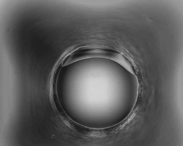 X0000087690101200705111328