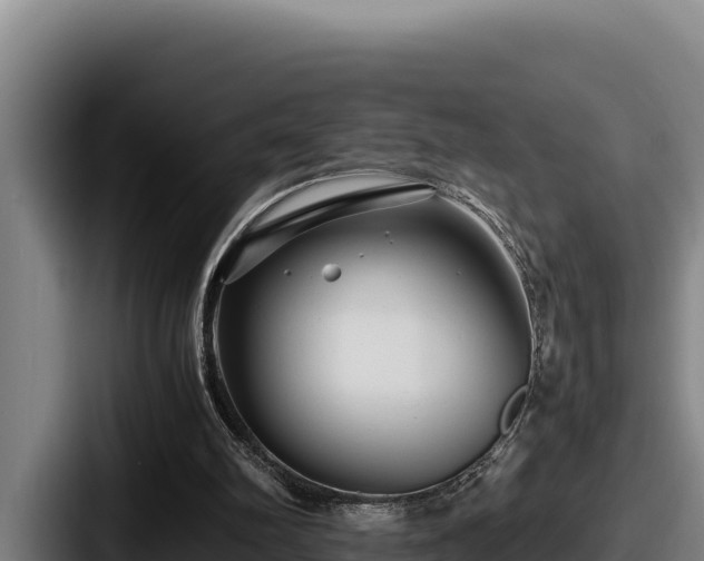 X0000087690102200705111328