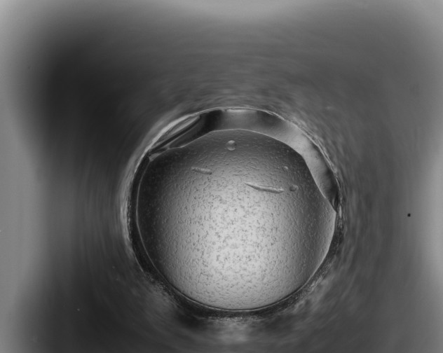 X0000087690103200705111328