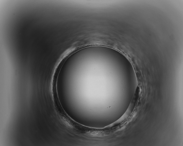 X0000087690104200705111328