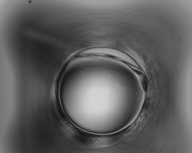X0000087690107200705111328