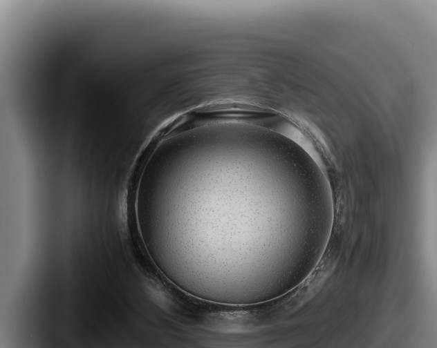 X0000087690108200705111328