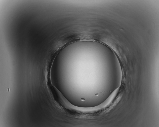 X0000087690109200705111328
