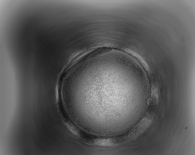 X0000087690110200705111328