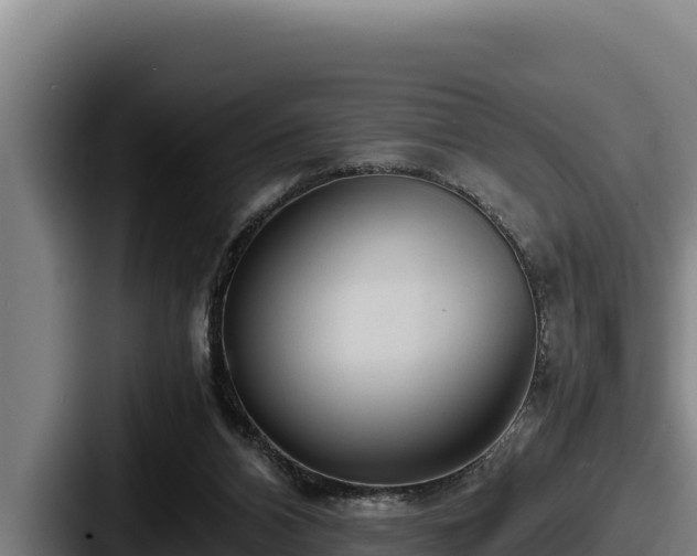 X0000087690112200705111328