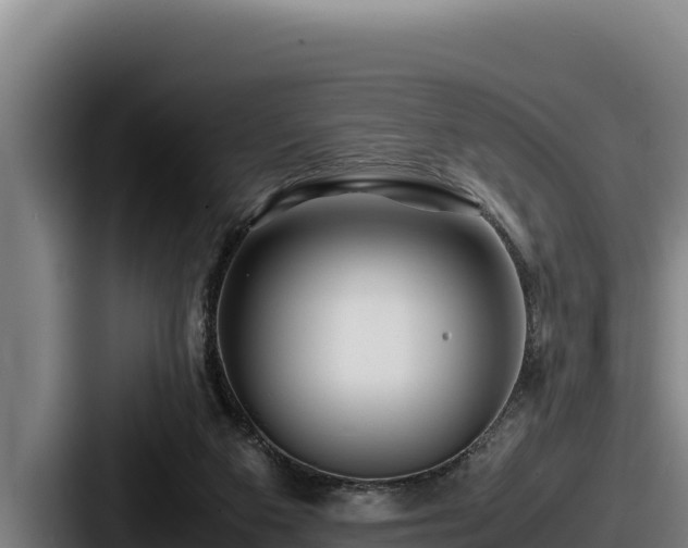 X0000087690113200705111328