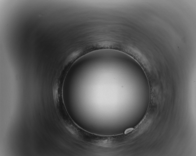 X0000087690116200705111328