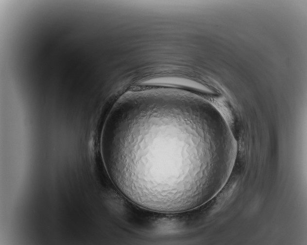 X0000087690119200705111328