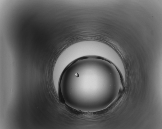 X0000087690121200705111328