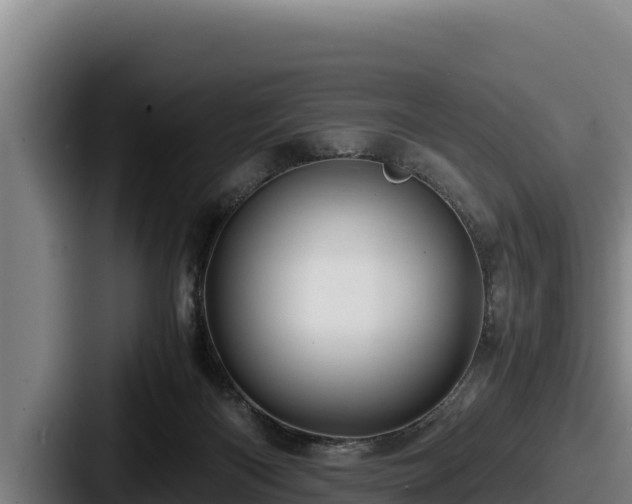 X0000087690122200705111328