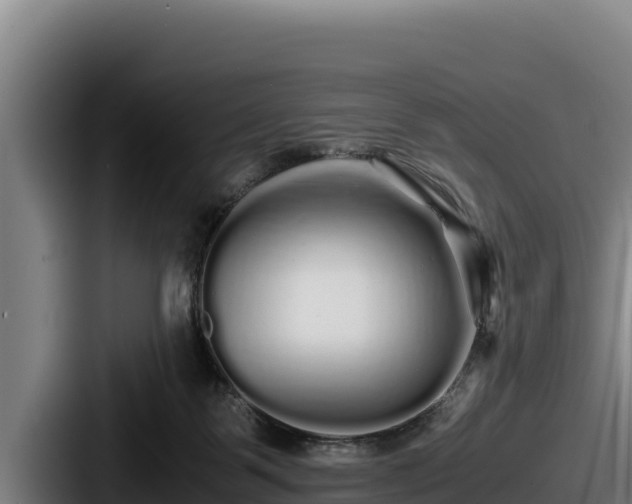 X0000087690123200705111328