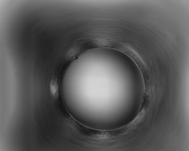 X0000087690124200705111328