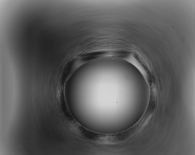 X0000087690125200705111328