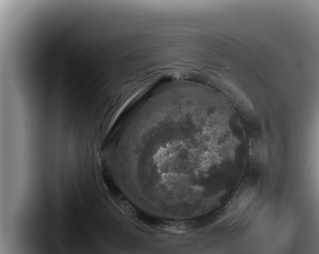X0000087690127200705111328