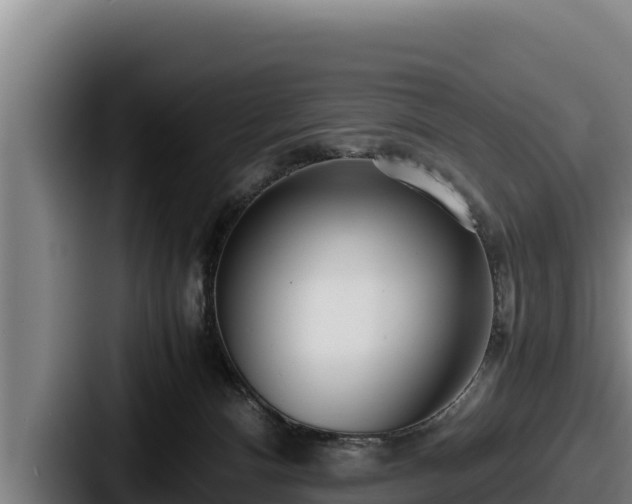 X0000087690128200705111328