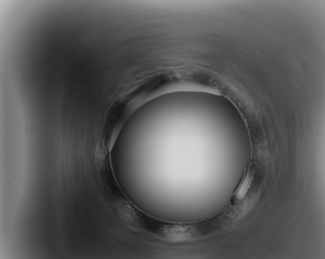 X0000087690129200705111328