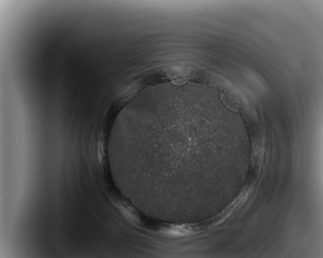 X0000087690130200705111328