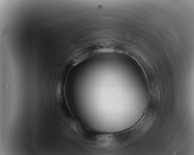X0000087690132200705111328
