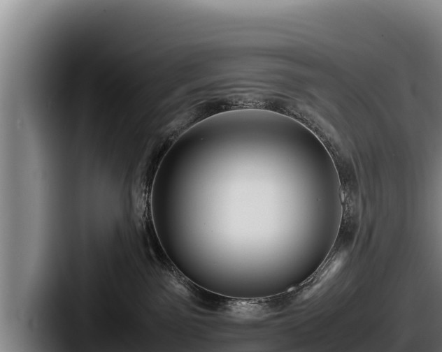 X0000087690141200705111328