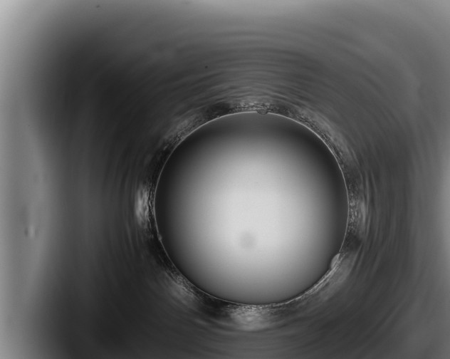 X0000087690142200705111328